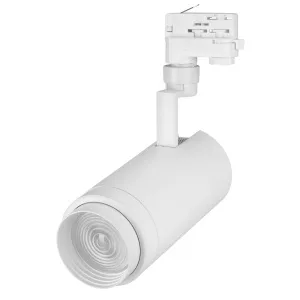 Светильник LGD-ZEUS-4TR-R100-30W White (WH, 20-60 deg)