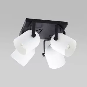 Потолочный светильник TK Lighting Spectra Black White 3493