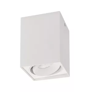 Светильник SP-CUBUS-S100x100WH-11W Day White 40deg