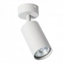 Arte Lamp AQUARIUS Серый A3216PL-1GY